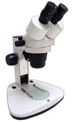 MICROSCÓPIO ESTEREOSCÓPICO